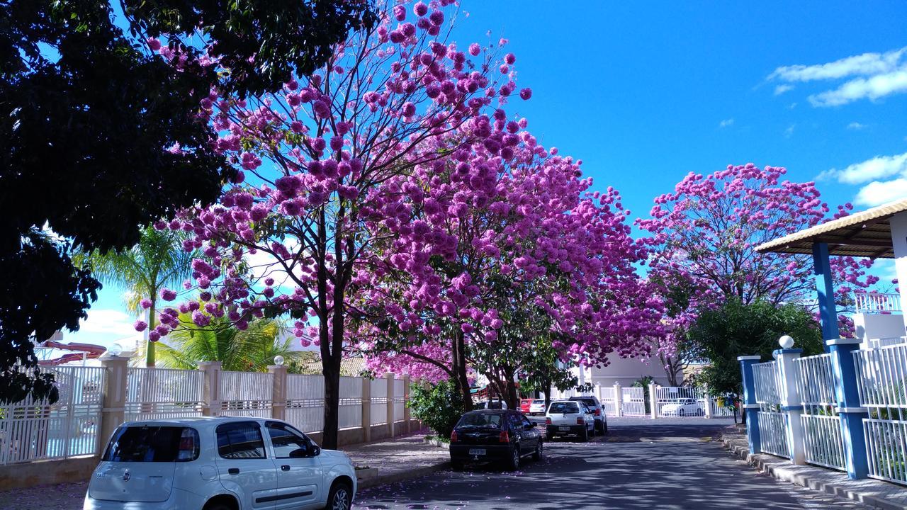 Diroma Andrian - Lacqua II Caldas Novas Dış mekan fotoğraf